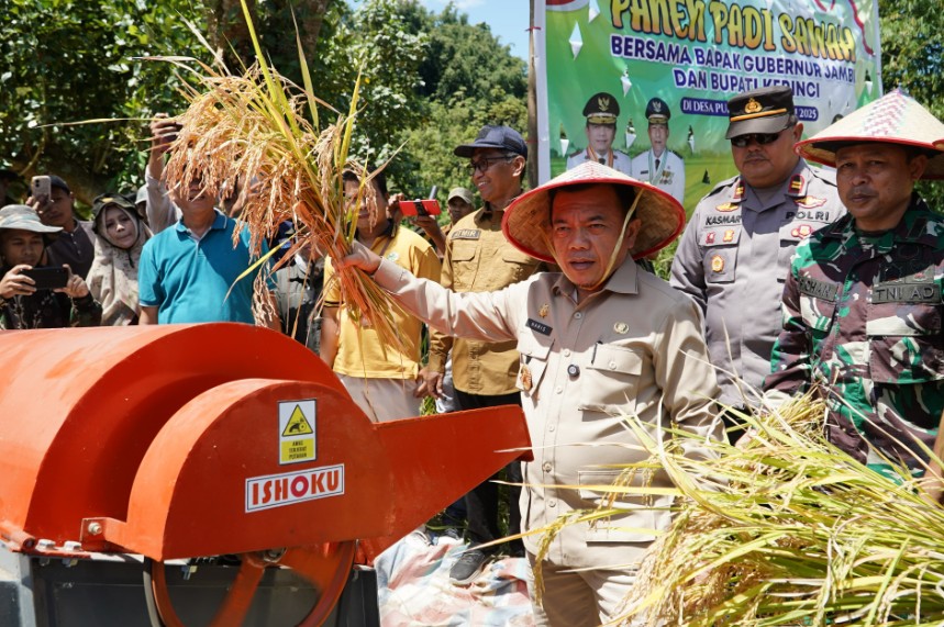 Gubernur Al Haris: Pemprov dan Pemkab Bersinergi Benahi Sistem Pertanian Agar Hasil Meningkat