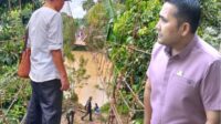 Guru SDN 117 di Desa Limbur, Kabupaten Merangin, Provinsi Jambi viral melintasi jembatan yang rusak.