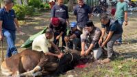 dprd muaro jambi kurban