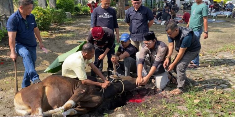 dprd muaro jambi kurban