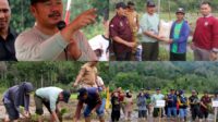 Tanam Padi Serentak di Talang Kemulun