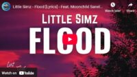 lagu flood little simz ft obongjayar & moonchild sanelly.