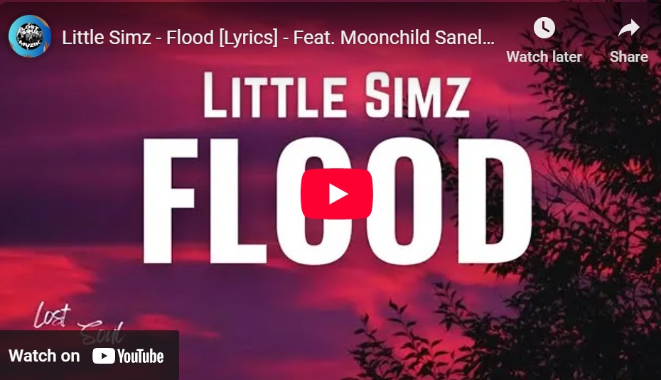 lagu flood little simz ft obongjayar & moonchild sanelly. lagu flood little simz ft obongjayar & moonchild sanelly.