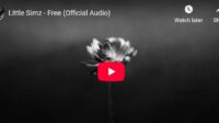 lagu free little simz.