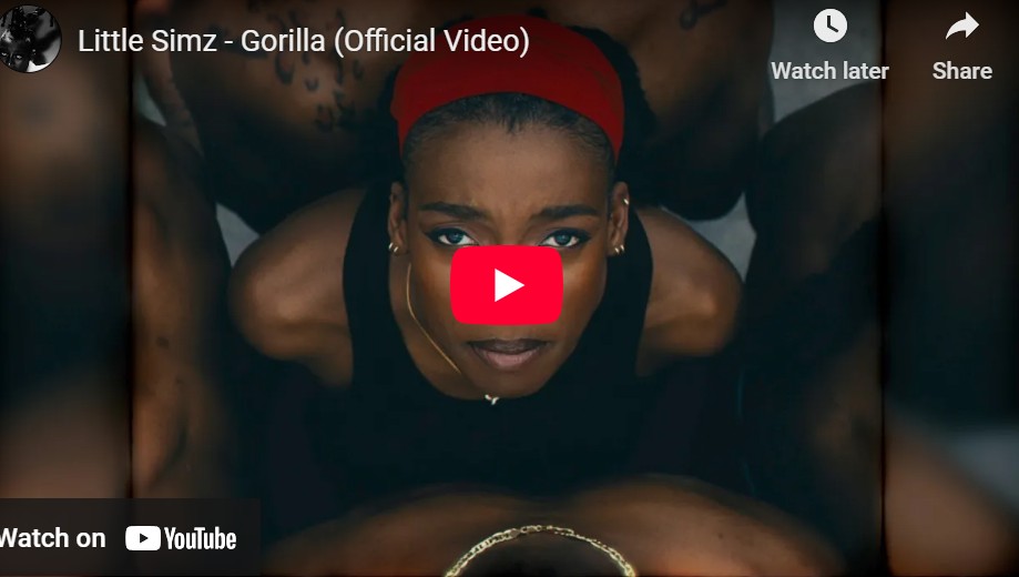 lagu gorilla little simz. lagu gorilla little simz.
