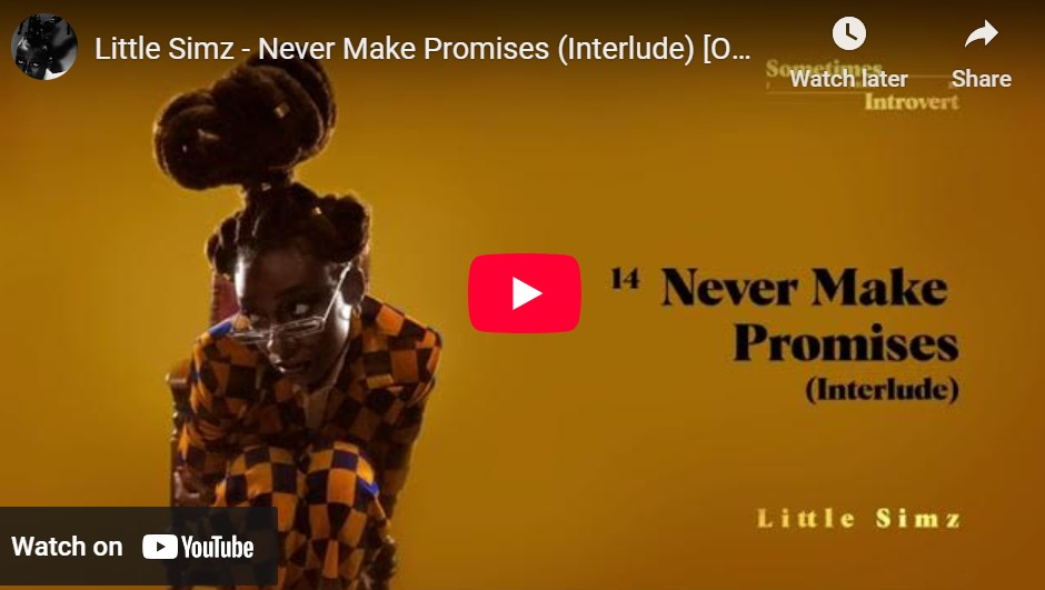 lagu never make promises little simz.