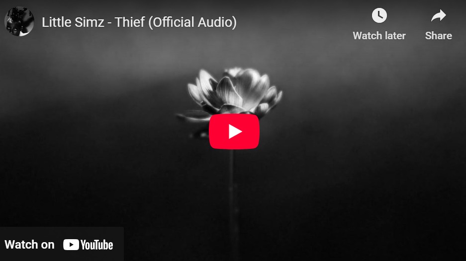 lagu thief little simz.