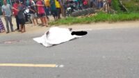 Kecelakaan maut terjadi di wilayah hukum Polres Muaro Jambi. Kali ini, seorang perempuan yang diketahui penumpang sepeda motor tewas di tempat.