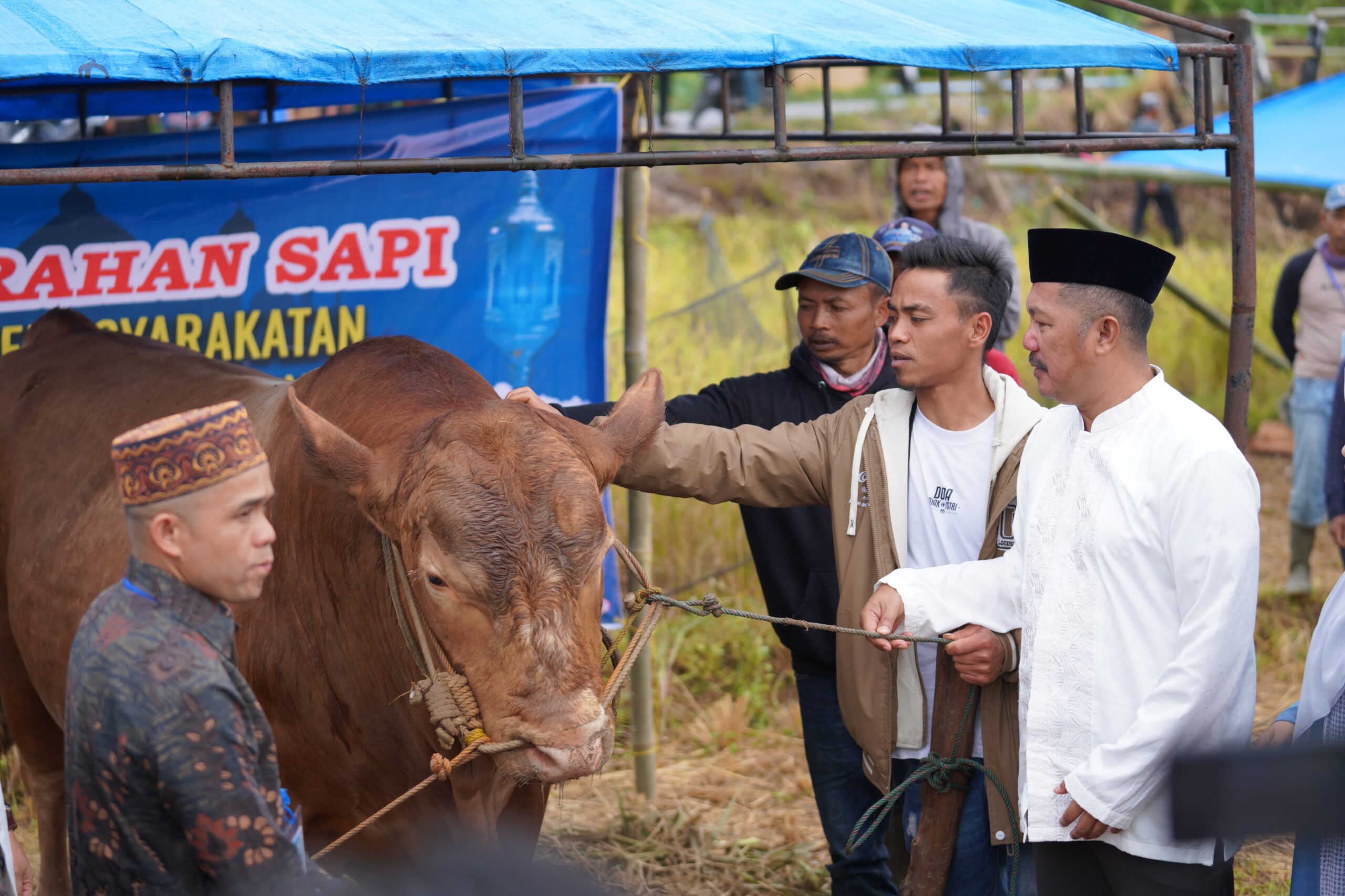 Bupati Monadi Serahkan Bantuan Sapi Kurban dari Presiden Prabowo Bupati Monadi Serahkan Bantuan Sapi Kurban dari Presiden Prabowo