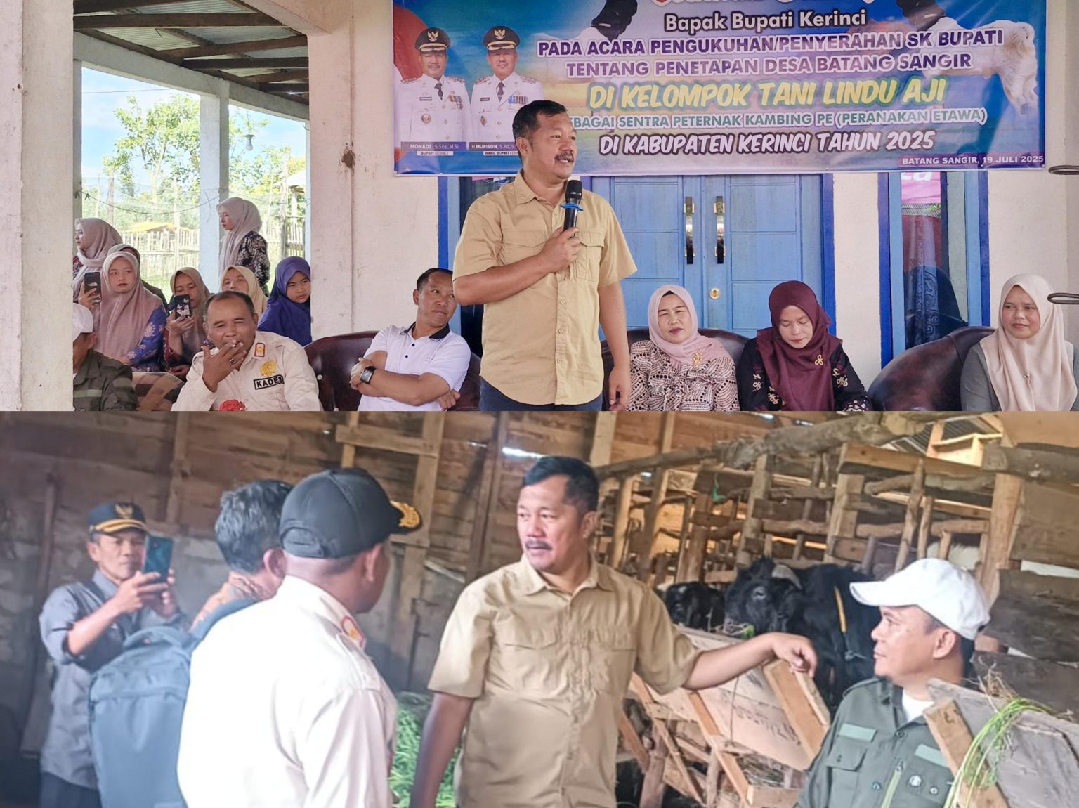 Kawasan Sentral Peternakan Kambing PE di Desa Batang Sangir Kawasan Sentral Peternakan Kambing PE di Desa Batang Sangir