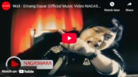 lagu emang dasar wali.