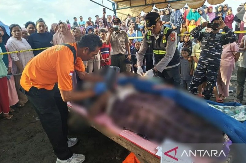 27 Korban Kapal Tenggelam di Bali Sudah Diidentifikasi, Empat Orang Meninggal Dunia 27 Korban Kapal Tenggelam di Bali Sudah Diidentifikasi, Empat Orang Meninggal Dunia