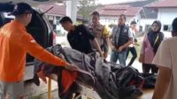 Pelaku Pembunuhan di Jambi Tewas Setelah Baku Tembak dengan Polisi di Kebun Sawit