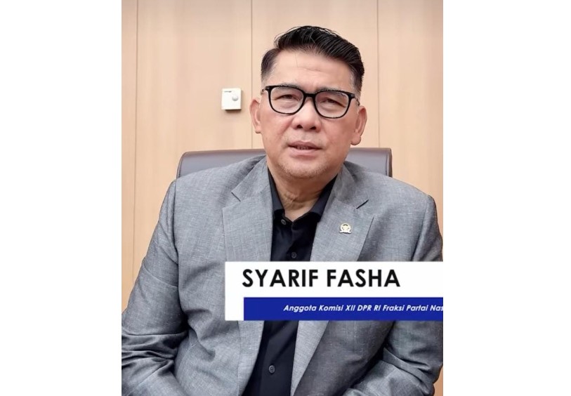 Anggota Komisi 12 DPR RI, Sy Fasha
