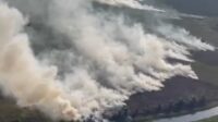 20 Hektar Lahan di Tanjab Barat Terbakar, Polisi Panggil Kades dan 3 Kelompok Tani