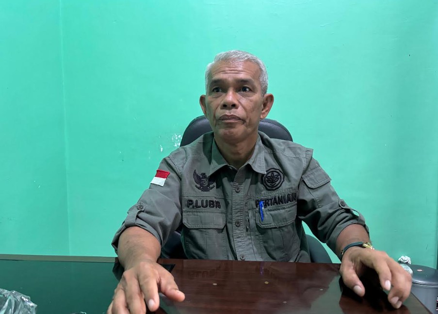 Kepala Dinas Tanaman Pangan dan Hortikultura (DTPH) Kabupaten Muaro Jambi, Paruhuman Lubis