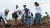 PT SAS dan Group Rehabilitasi Hutan Gambut Jambi Seluas 2 Ribu Hektar, Direktur Kemenhut: Ini Jadi Percontohan Nasional PT SAS dan Group Rehabilitasi Hutan Gambut Jambi Seluas 2 Ribu Hektar, Direktur Kemenhut: Ini Jadi Percontohan Nasional
