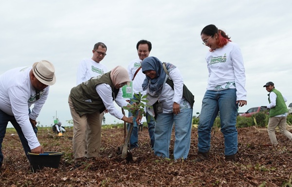 PT SAS dan Group Rehabilitasi Hutan Gambut Jambi Seluas 2 Ribu Hektar, Direktur Kemenhut: Ini Jadi Percontohan Nasional PT SAS dan Group Rehabilitasi Hutan Gambut Jambi Seluas 2 Ribu Hektar, Direktur Kemenhut: Ini Jadi Percontohan Nasional