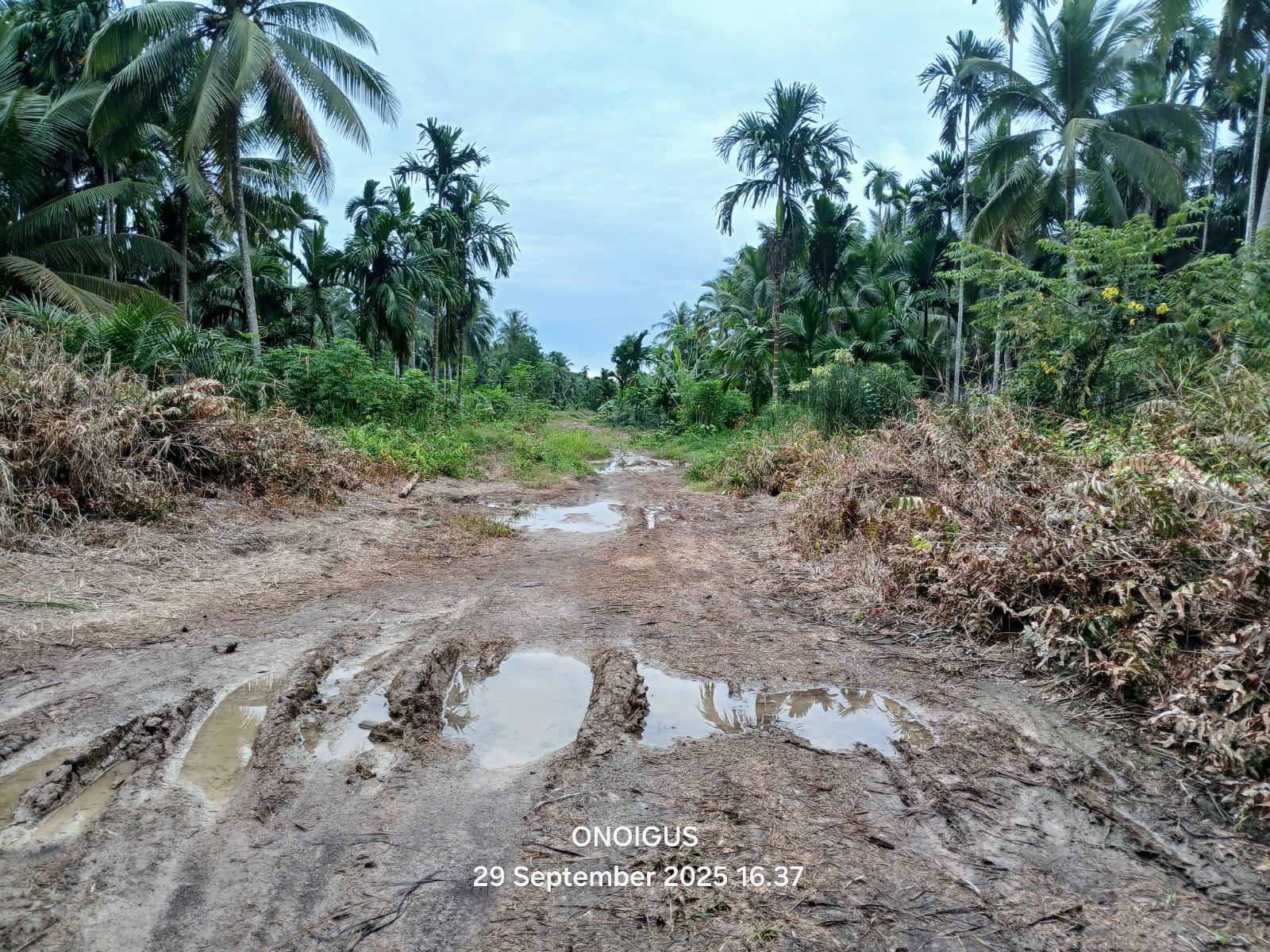 img 20251005 wa0011