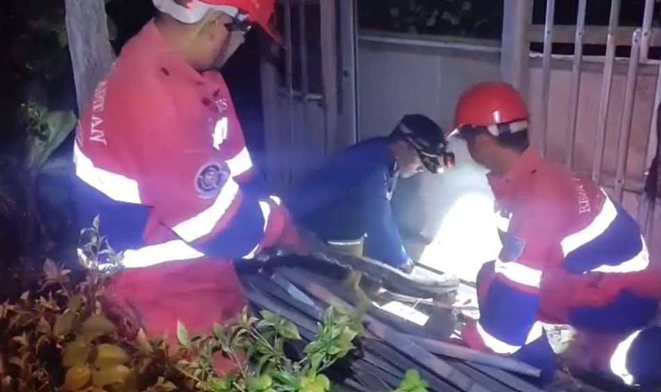 Seekor ular piton sepanjang lebih dari 5 meter berhasil dievakuasi oleh petugas Pemadam Kebakaran dan Penyelamatan (Damkartan) Kota Jambi, dari sebuah selokan di teras rumah warga yang berada di Komplek Perumahan Villa Kenali, Mayang Mangurai, Kota Jambi.