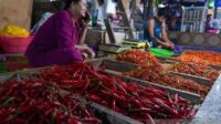 Harga Cabai Rawit dan Telur Ayam Hari Ini Harga Cabai Rawit dan Telur Ayam Hari Ini