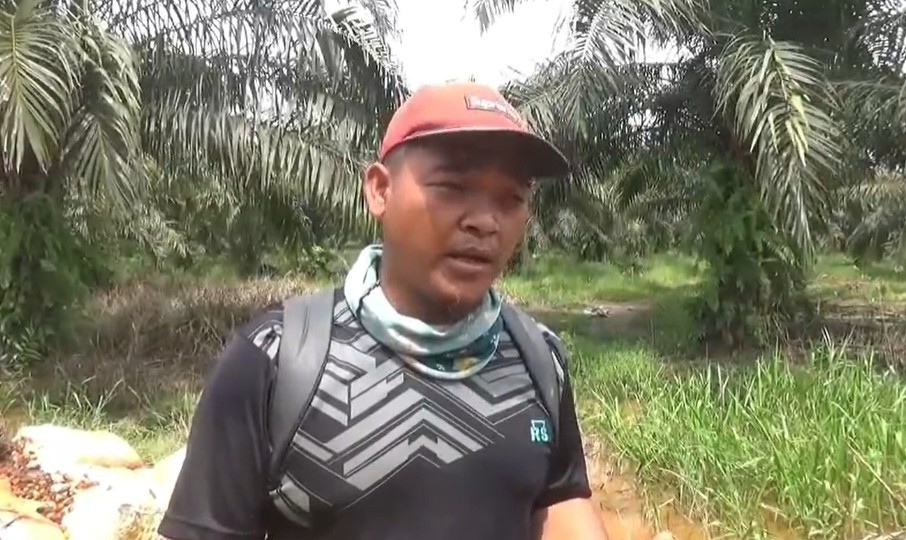 Viral! Jenazah Diangkut Gunakan Jonder Sawit Akibat Jalan Rusak Parah di Tanjab Timur Viral! Jenazah Diangkut Gunakan Jonder Sawit Akibat Jalan Rusak Parah di Tanjab Timur