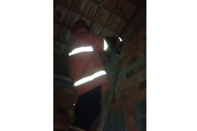 Tim Damkar Evakuasi Sarang Tawon Vespa Berbahaya di Atap Rumah Warga Mendalo Tim Damkar Evakuasi Sarang Tawon Vespa Berbahaya di Atap Rumah Warga Mendalo