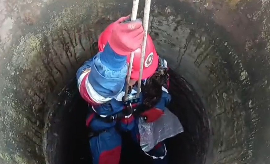 5 Petugas Damkar Kota Jambi Turun ke Sumur 12 Meter Untuk Selamatkan Kucing Warga 5 Petugas Damkar Kota Jambi Turun ke Sumur 12 Meter Untuk Selamatkan Kucing Warga