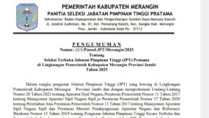Panitia Seleksi (Pansel) resmi mengumumkan pembukaan seleksi terbuka (Selter) untuk 9 Jabatan Pimpinan Tinggi (JPT) Pratama di lingkungan Pemerintah Kabupaten Merangin, Selasa (11/11/2025).