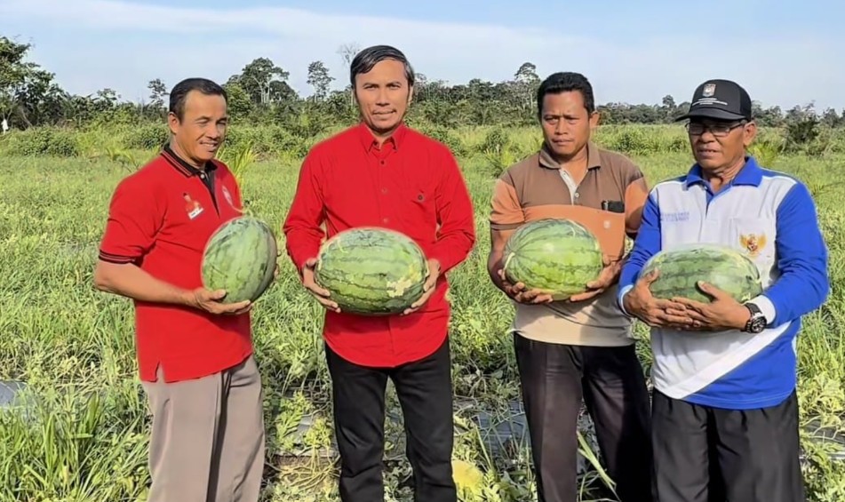 Cakap Ketua Edi: Saat BUMDes Desa Parit Menggeliat, Semangka Membuka Jalan Kesejahteraan Warga Muaro Jambi