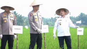 Al Haris Ways : Gerakan Pupuk Serentak di Muaro Jambi, Perkuat Ketahanan Pangan Provinsi Jambi