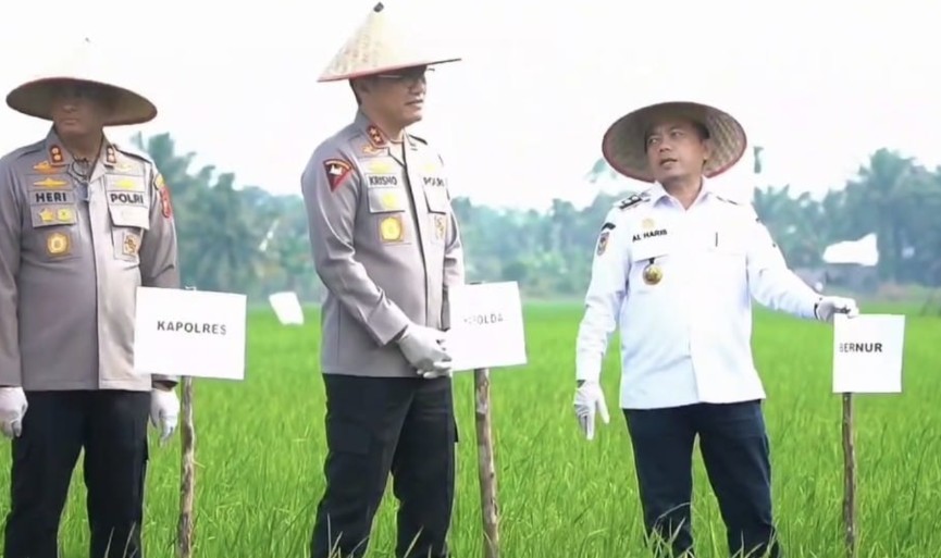 Al Haris Ways : Gerakan Pupuk Serentak di Muaro Jambi, Perkuat Ketahanan Pangan Provinsi Jambi Al Haris Ways : Gerakan Pupuk Serentak di Muaro Jambi, Perkuat Ketahanan Pangan Provinsi Jambi