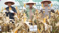 Hadiri Panen Jagung, Wagub Sani Dukung Program Perkuat Kedaulatan Pangan Daerah dan Nasional