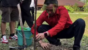 Cakap Ketua Edi: Menanam Pohon di HUT ke-79 Megawati, Merawat Alam dan Sejarah Jambi Sekaligus