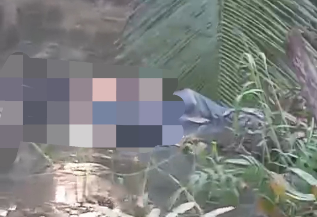 screenshot 20260226 191210 whatsapp screenshot 20260226 191210 whatsapp