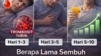 berapa lama sembuh dari demam berdarah ini tahapan yang jarang dijelaskan