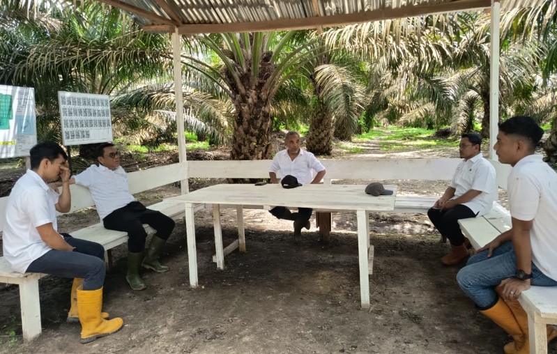 Tekankan Operational Excellence, PTPN IV Regional IV Genjot Produksi Sawit di Jambi-Sumbar Tekankan Operational Excellence, PTPN IV Regional IV Genjot Produksi Sawit di Jambi-Sumbar