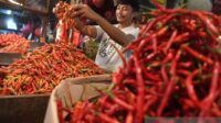 Harga Cabai Rawit Merah Rp83.100/Kg, Telur Ayam Rp32.550/Kg Harga Cabai Rawit Merah Rp83.100/Kg, Telur Ayam Rp32.550/Kg