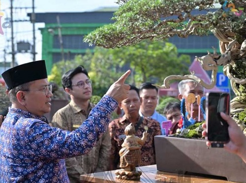 dibuka wali kota maulana, pameran bonsai jambi 2026 jadi wadah hobi bernilai investasi dibuka wali kota maulana, pameran bonsai jambi 2026 jadi wadah hobi bernilai investasi