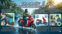 fd356c7f 576a 42a9 a124 9199bbf39270