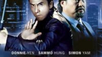 kesan nonton film china spl kill zone brutal, gelap, dan penuh pertarungan yang bikin tegang dari awal sampai akhir