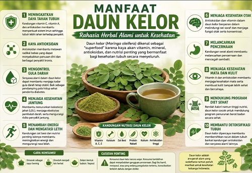 manfaat daun kelor untuk kesehatan rahasia herbal alami yang kembali dicari banyak orang