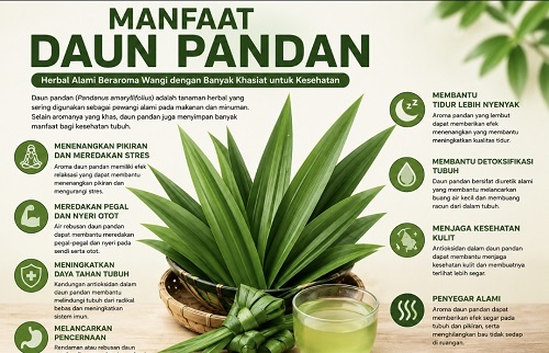 manfaat daun pandan untuk kesehatan 2026 herbal alami dengan aroma wangi dan khasiat menenangkan