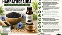 manfaat habbatussauda untuk kesehatan herbal tradisional yang tetap populer hingga sekarang