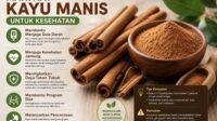 manfaat kayu manis untuk kesehatan tubuh rahasia rempah alami yang dipercaya bantu jaga gula darah dan imunitas