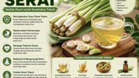 manfaat serai untuk kesehatan tubuh herbal alami yang dipercaya bantu imunitas, pencernaan, dan tekanan darah