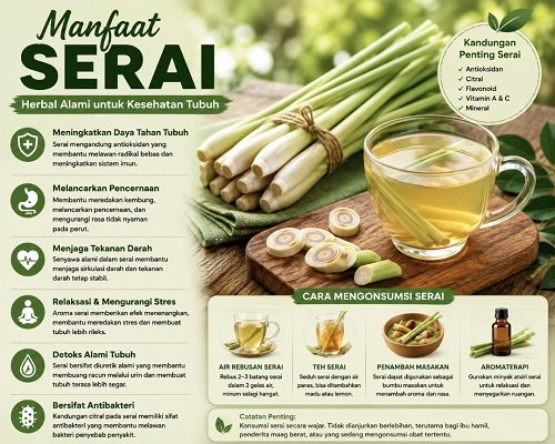 manfaat serai untuk kesehatan tubuh herbal alami yang dipercaya bantu imunitas, pencernaan, dan tekanan darah