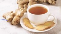 obat herbal terpercaya panduan lengkap memilih herbal aman, teruji, dan efektif untuk kesehatan