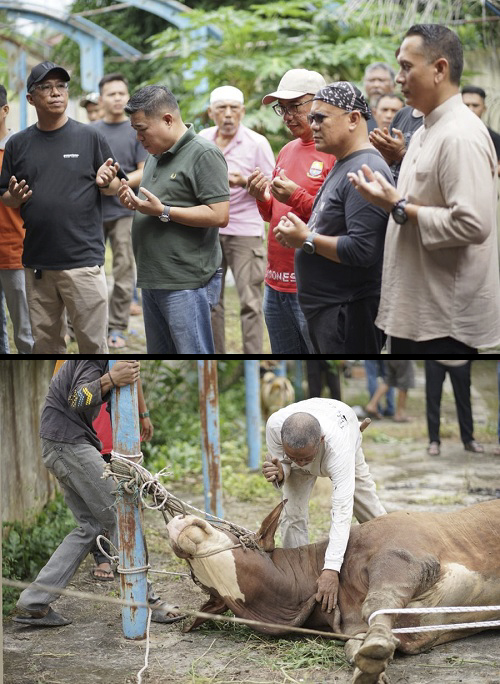 rayakan idul adha 1447 h dinas putr provinsi jambi gelar penyembelihan hewan kurban untuk berbagi rayakan idul adha 1447 h dinas putr provinsi jambi gelar penyembelihan hewan kurban untuk berbagi