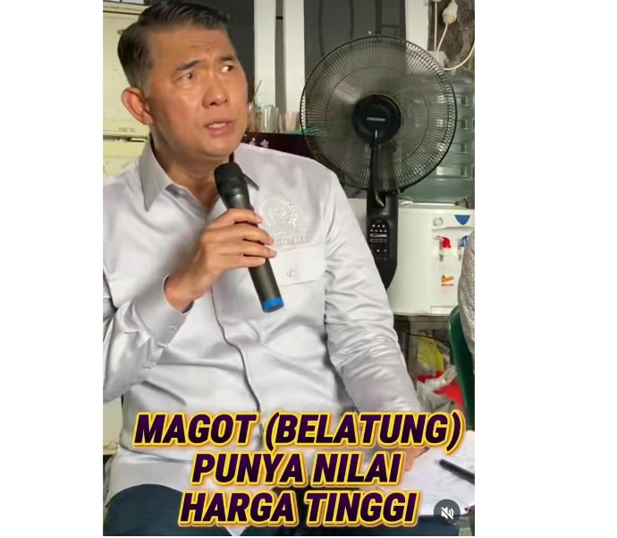 Sy Fasha: Maggot Bisa Jadi Pupuk, Pakan hingga Penggerak Ekonomi Hijau Sy Fasha: Maggot Bisa Jadi Pupuk, Pakan hingga Penggerak Ekonomi Hijau